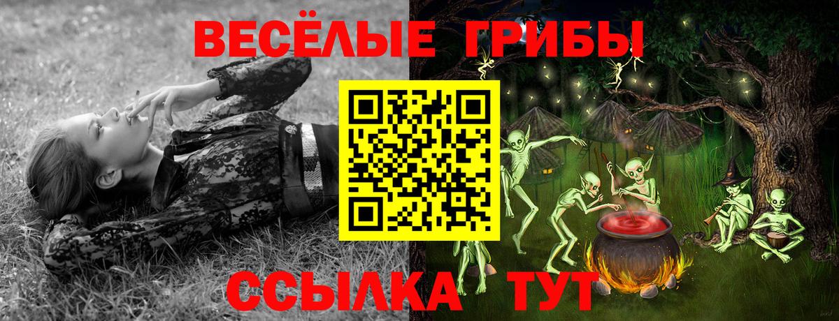 Галлюциногенные грибы прущие грибы Нижнеудинск